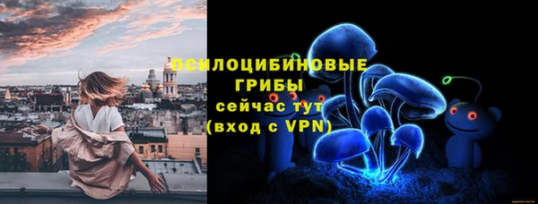 хмурый Белокуриха