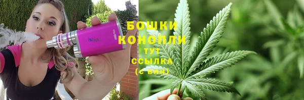 хмурый Белокуриха