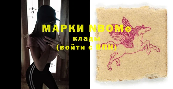 хмурый Белокуриха
