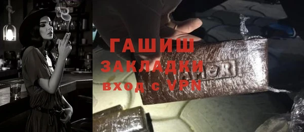хмурый Белокуриха