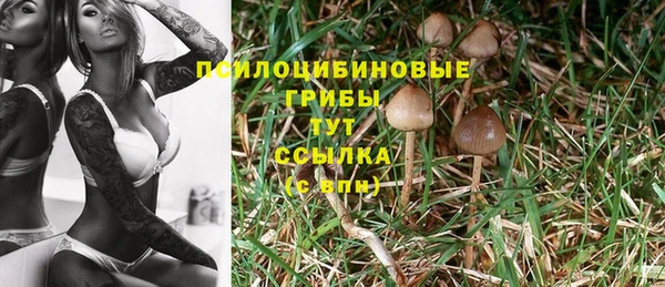 спайс Белоозёрский