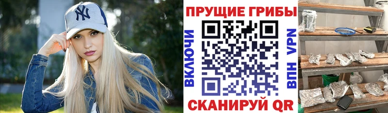 Псилоцибиновые грибы мухоморы  Нефтекумск 